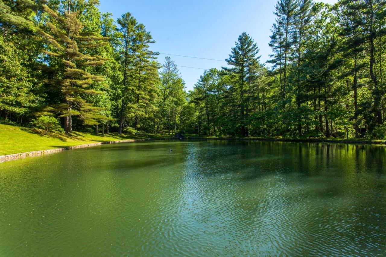Villa Bull Creek Peaceful Escape Asheville Exterior foto